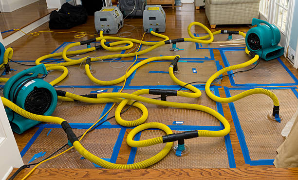 Professional Basement Flood Cleanup technician working in Freeland, WA